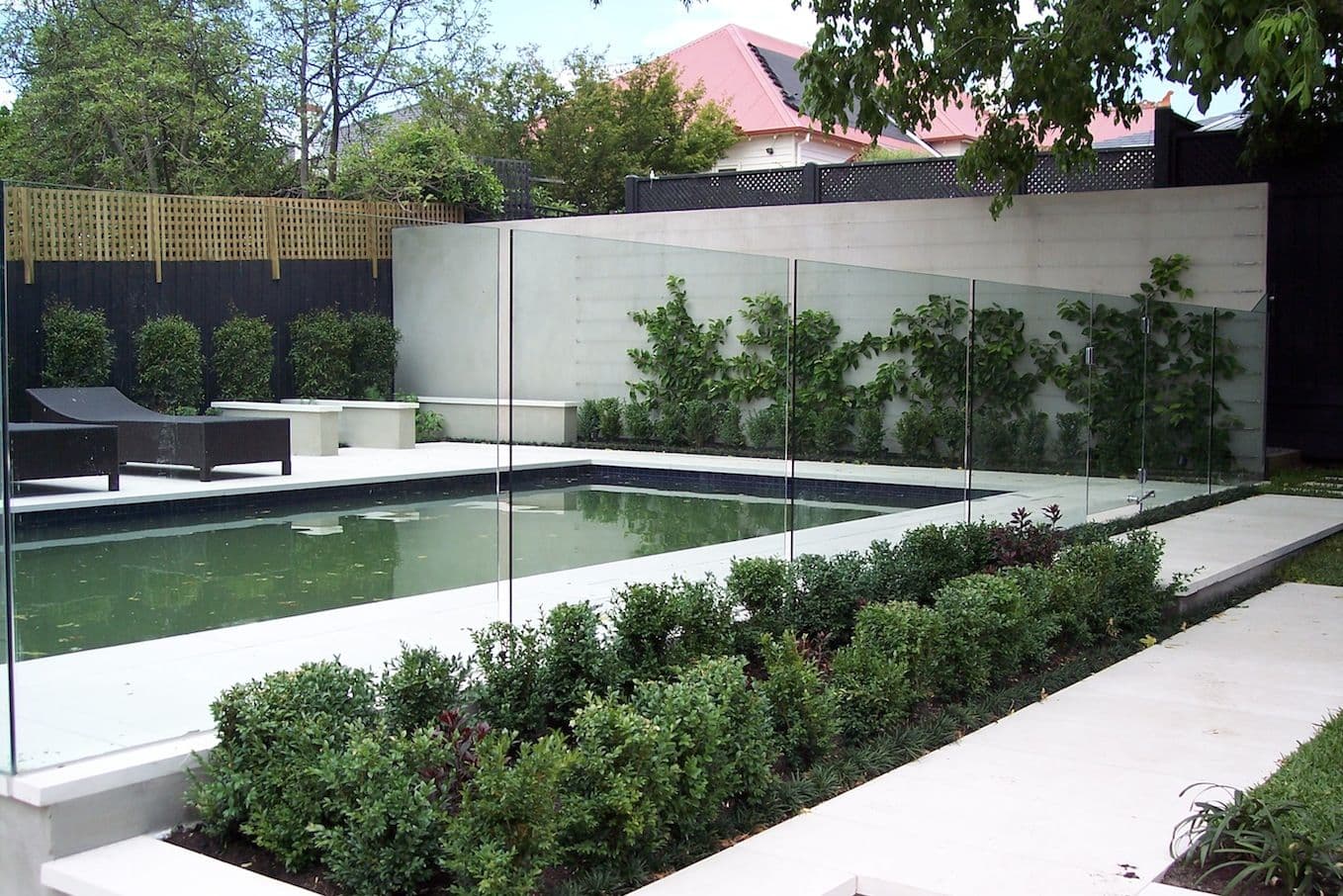 Frameless glass pool fence with chrome spigots installed around a rectangular backyard swimming pool with white stone coping and manicured garden surrounds.