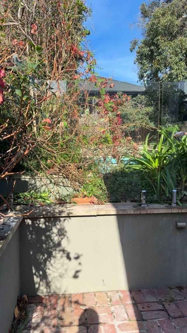 Frameless glass pool fence panels mounted on rendered concrete coping with chrome spigots, surrounding a backyard pool visible through the overgrown garden in a residential setting.